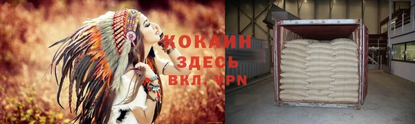СК Новодвинск
