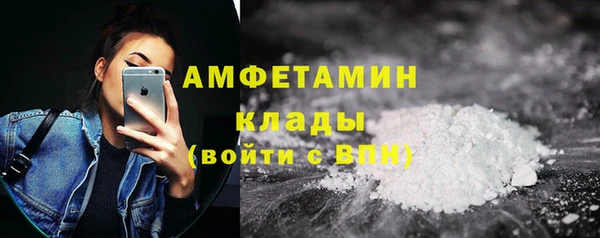 СК Новодвинск