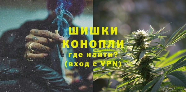 крисы Новозыбков