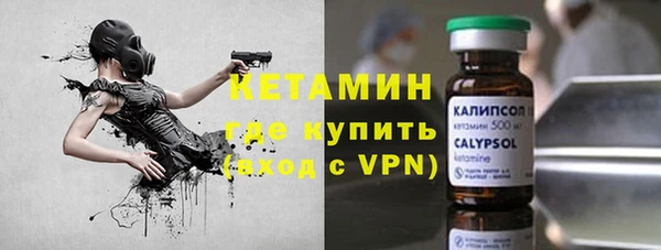 СК Новодвинск