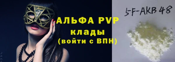 шишки Новокубанск