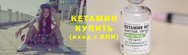 крисы Новозыбков