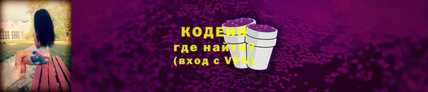 крисы Новозыбков
