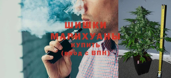 крисы Новозыбков