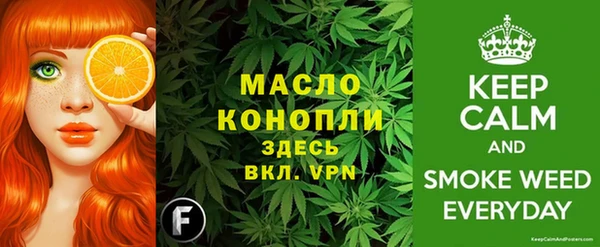 крисы Новозыбков