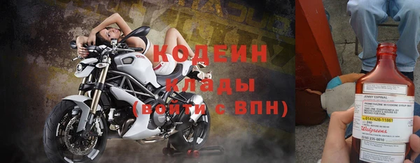 крисы Новозыбков