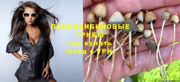 крисы Новозыбков