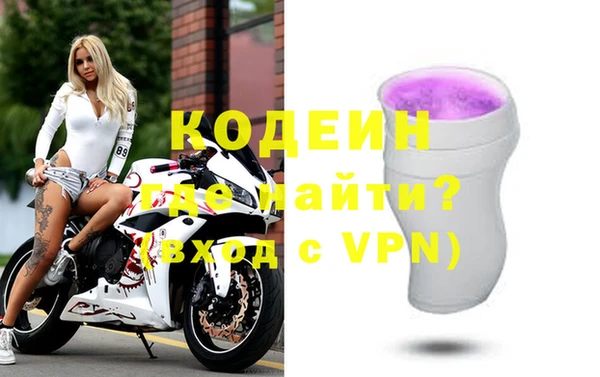индика Гусев