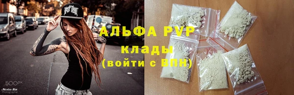 СК Новодвинск