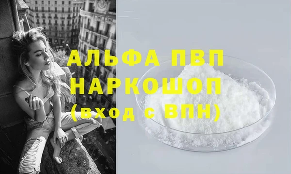 СК Новодвинск