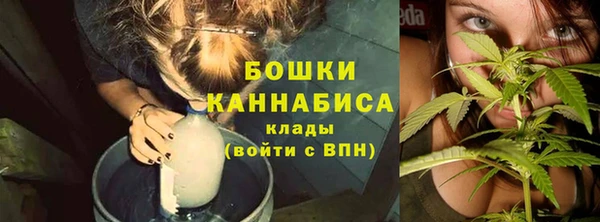 шишки Новокубанск