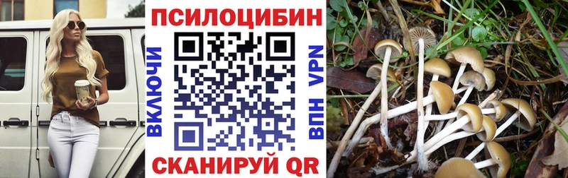 Псилоцибиновые грибы Psilocybe Емва